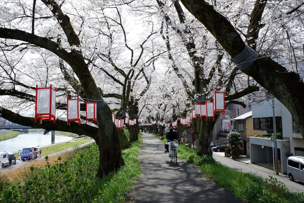 f:id:edwalk:20200403172134j:image f:id:edwalk:20200403172134j:image