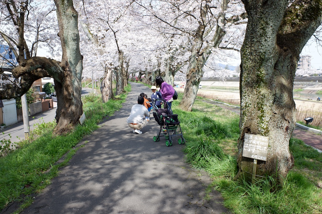 f:id:edwalk:20200403172138j:image f:id:edwalk:20200403172138j:image