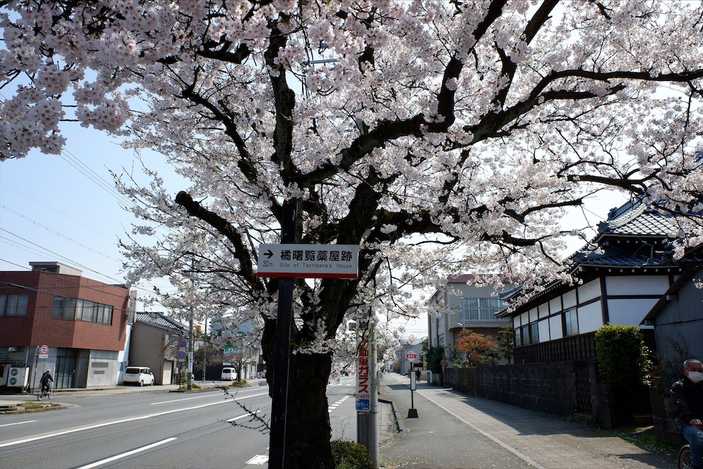 f:id:edwalk:20200403172949j:image f:id:edwalk:20200403172949j:image