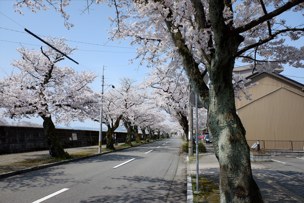 f:id:edwalk:20200403173158j:image f:id:edwalk:20200403173158j:image