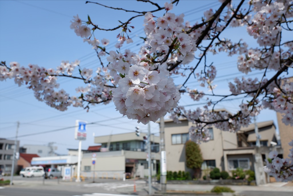f:id:edwalk:20200403173201j:image f:id:edwalk:20200403173201j:image