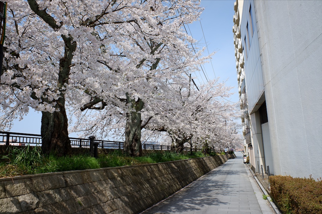 f:id:edwalk:20200403173205j:image f:id:edwalk:20200403173205j:image