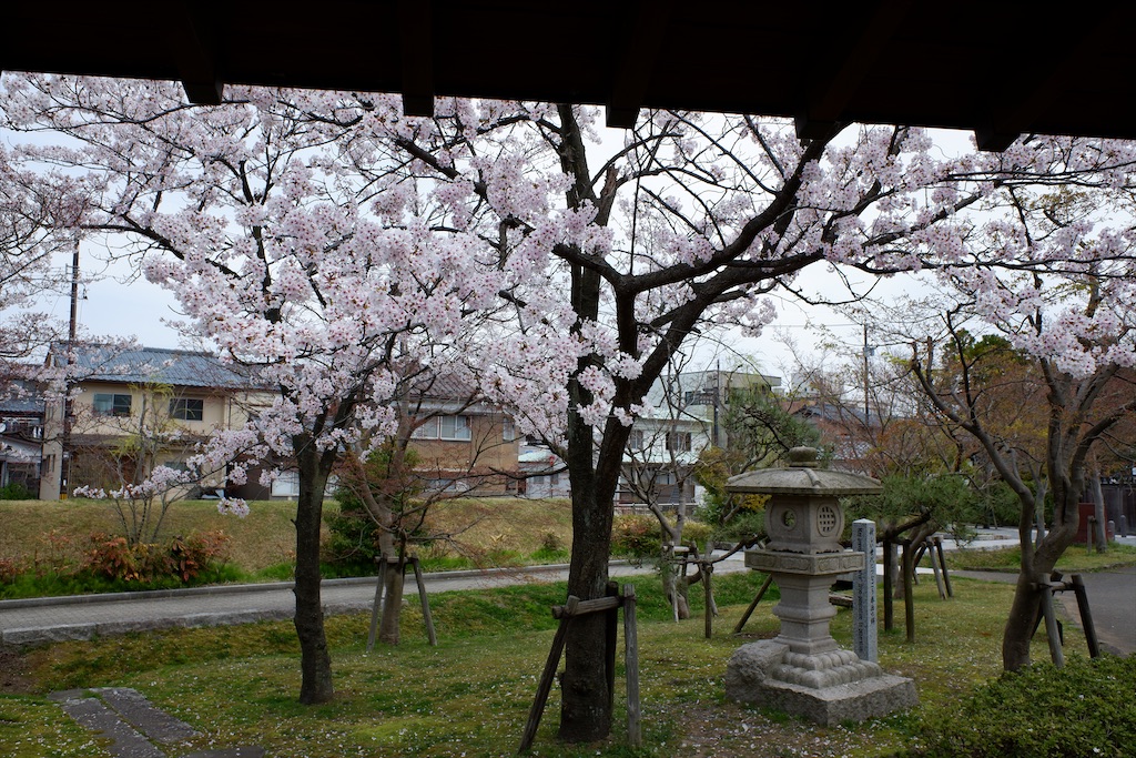 f:id:edwalk:20200407170747j:image