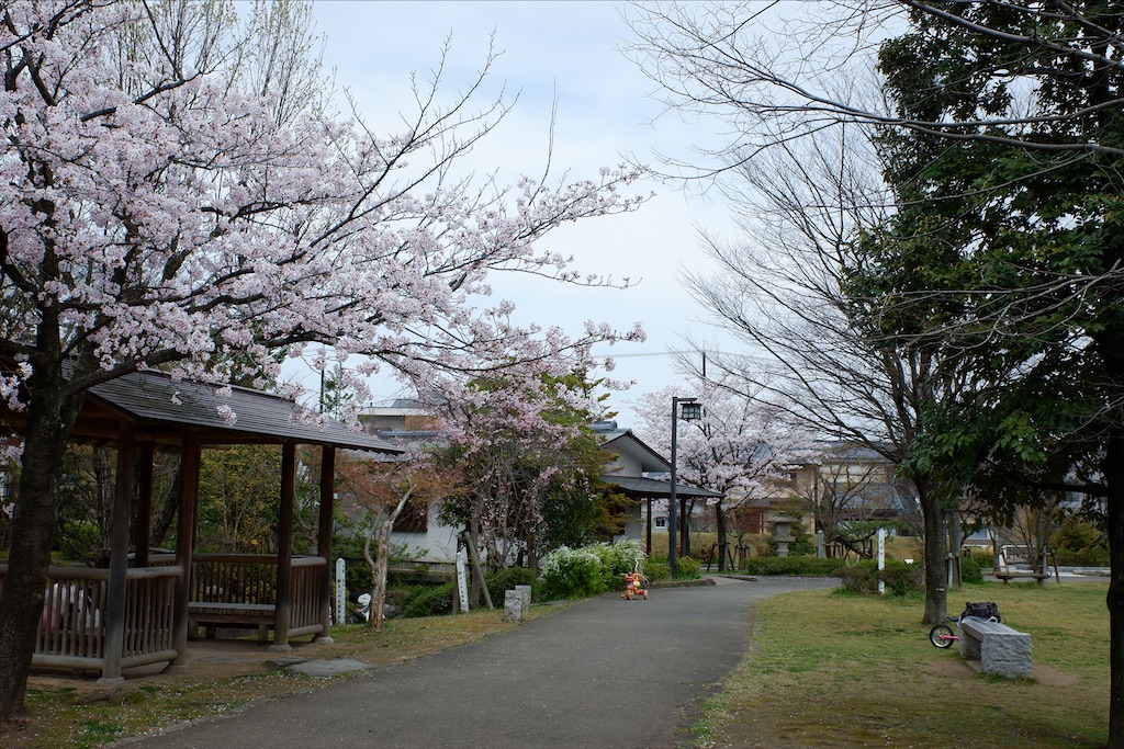 f:id:edwalk:20200407170805j:image