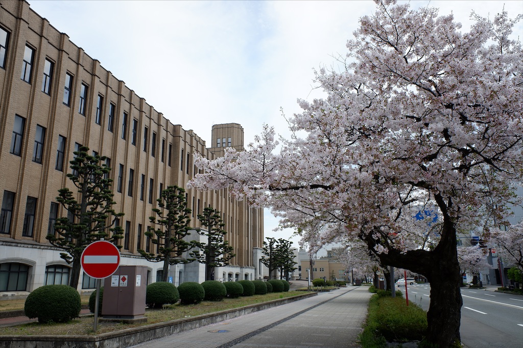 f:id:edwalk:20200407170809j:image