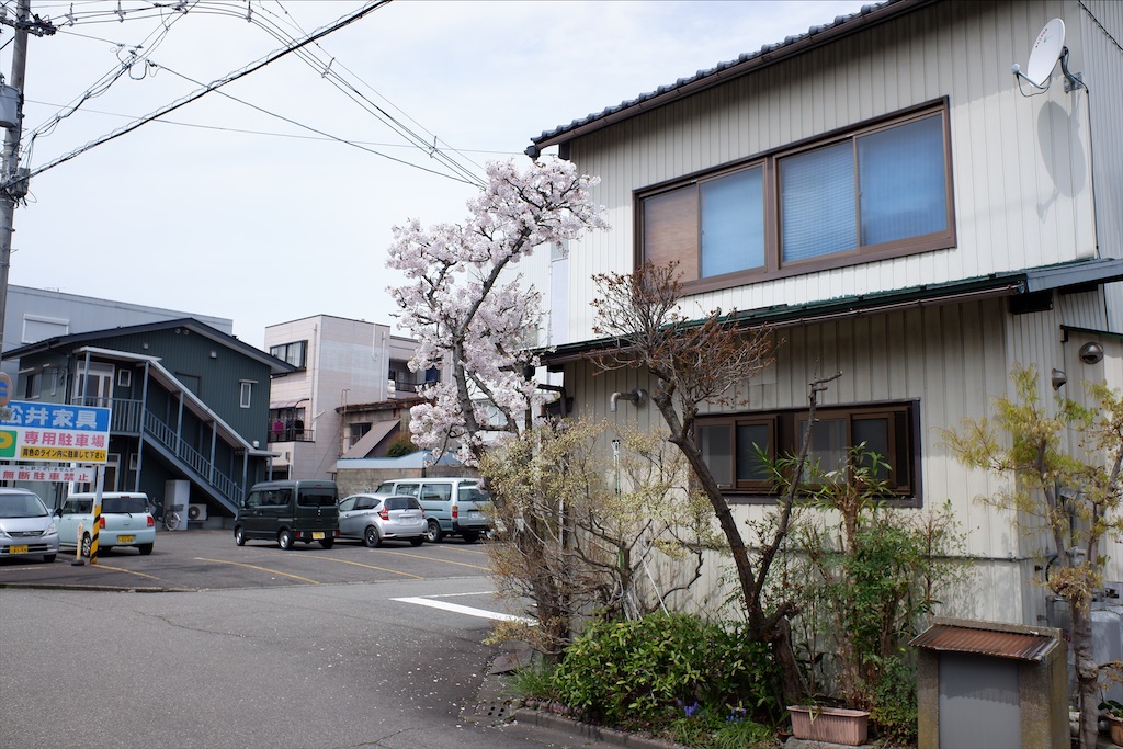 f:id:edwalk:20200407170816j:image