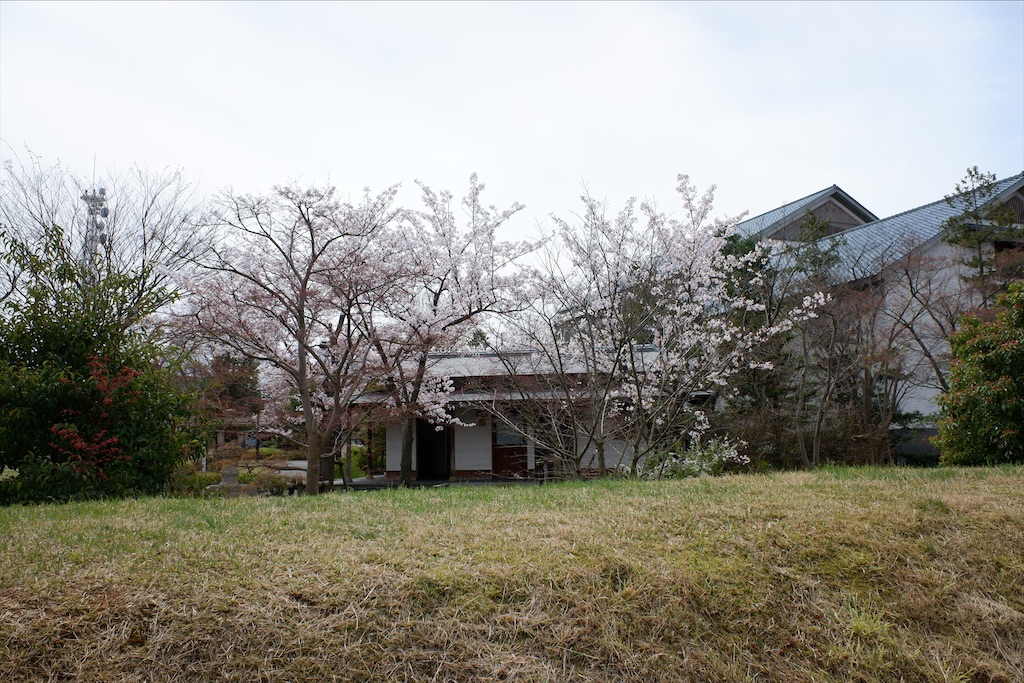 f:id:edwalk:20200407170821j:image