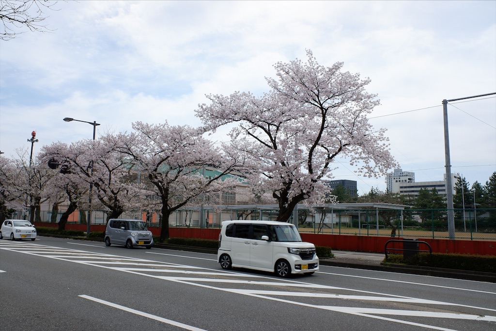 f:id:edwalk:20200407170833j:image