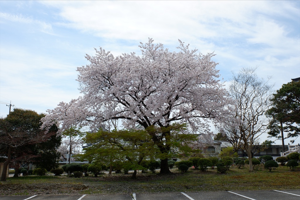 f:id:edwalk:20200407170836j:image