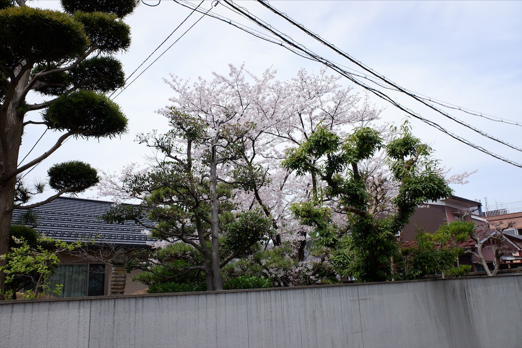 f:id:edwalk:20200407170849j:image