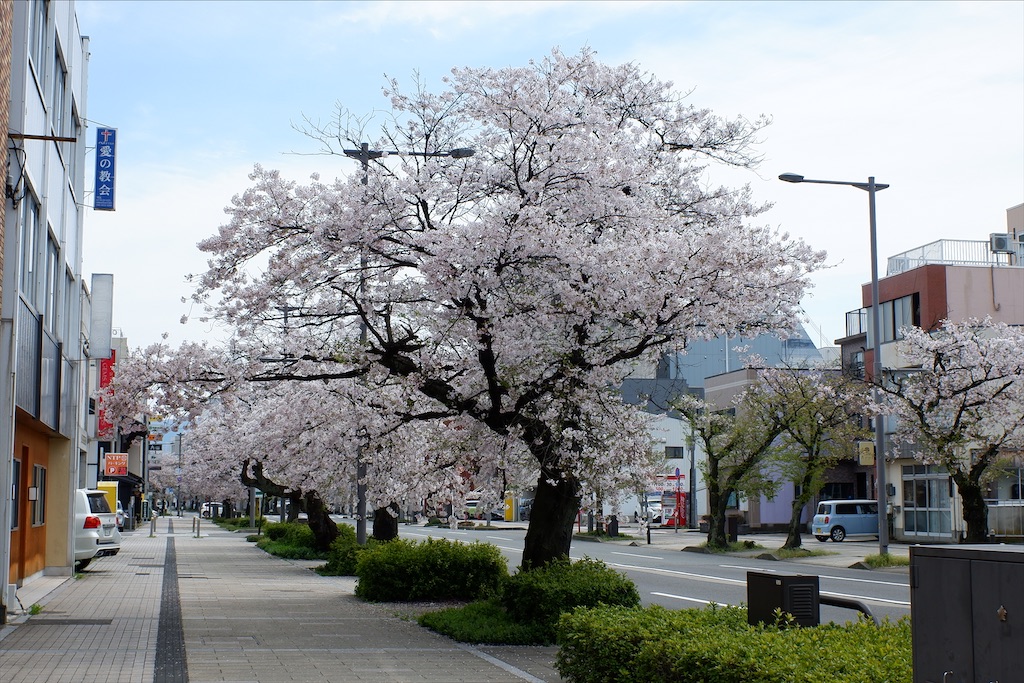 f:id:edwalk:20200407170853j:image
