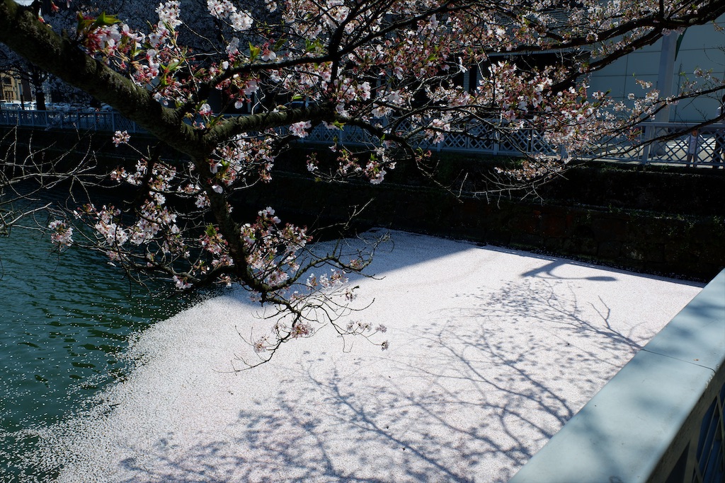 f:id:edwalk:20200409175152j:image