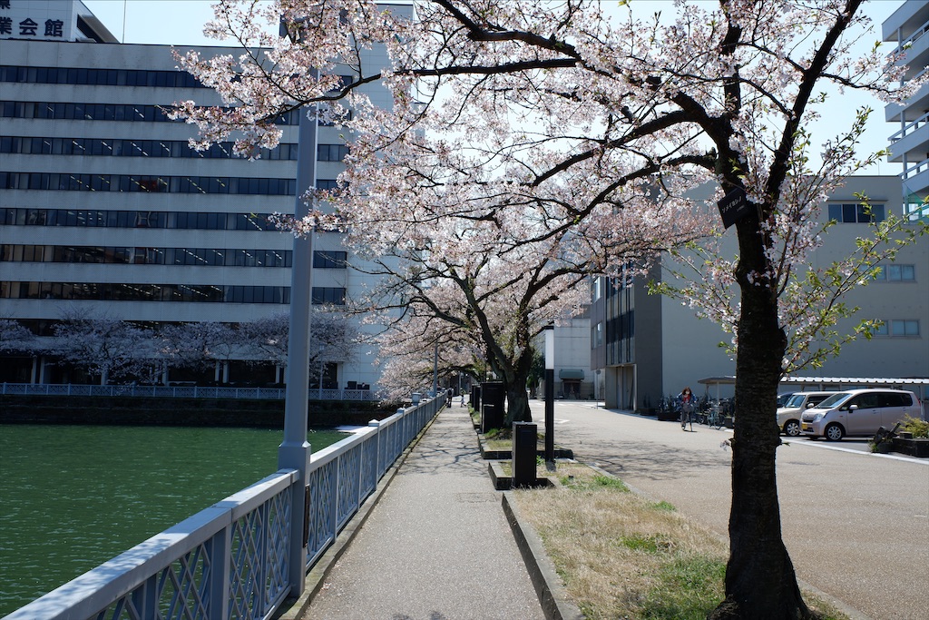 f:id:edwalk:20200409175301j:image