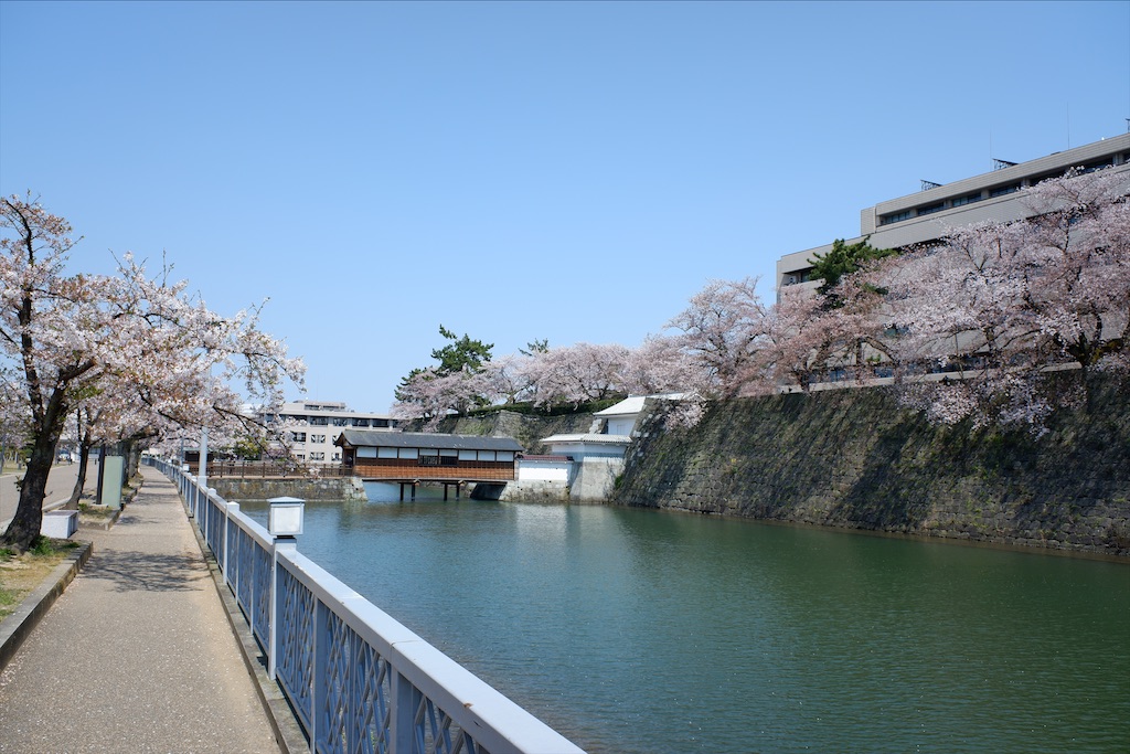 f:id:edwalk:20200409175308j:image