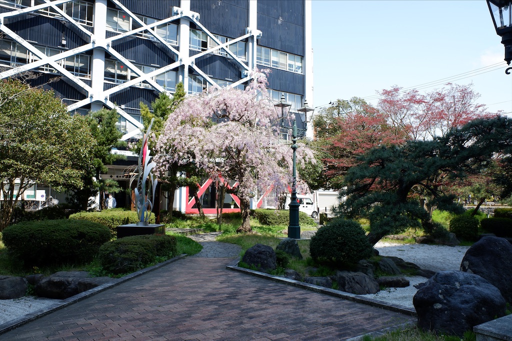 f:id:edwalk:20200409175547j:image