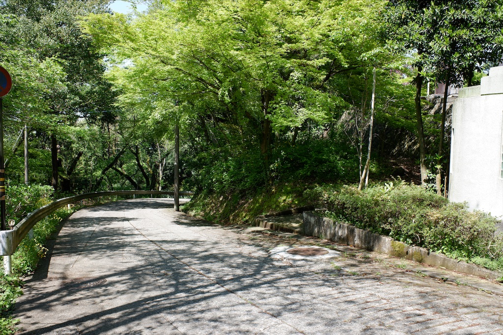 f:id:edwalk:20200427155230j:image f:id:edwalk:20200427155230j:image
