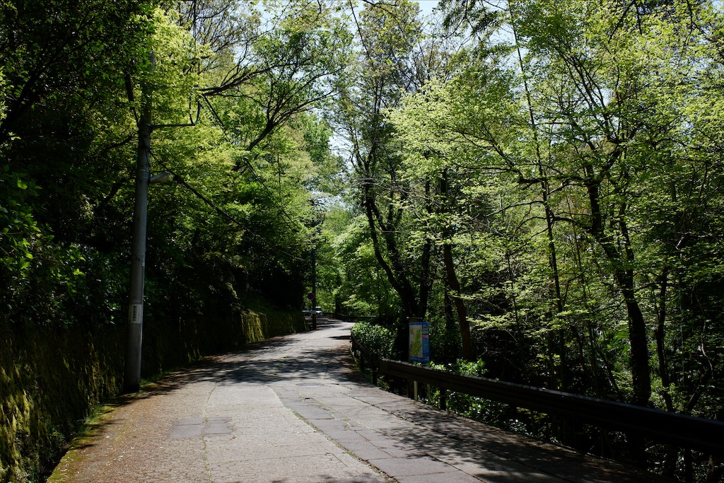 f:id:edwalk:20200427161620j:image f:id:edwalk:20200427161620j:image