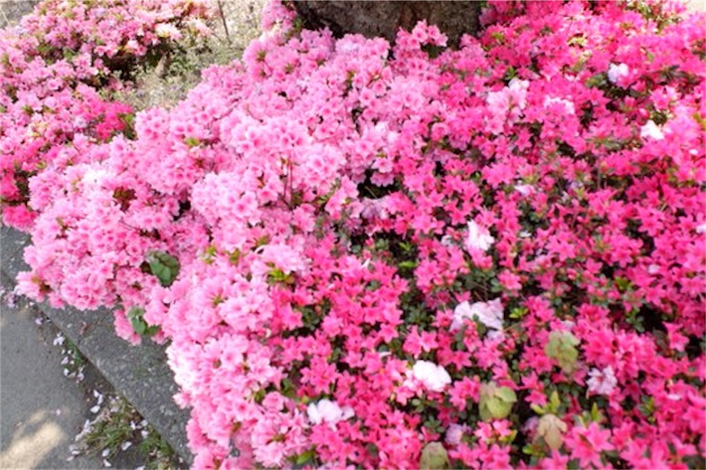 f:id:edwalk:20200429152141j:image