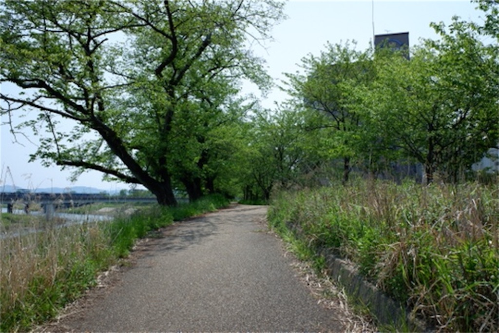 f:id:edwalk:20200429152150j:image