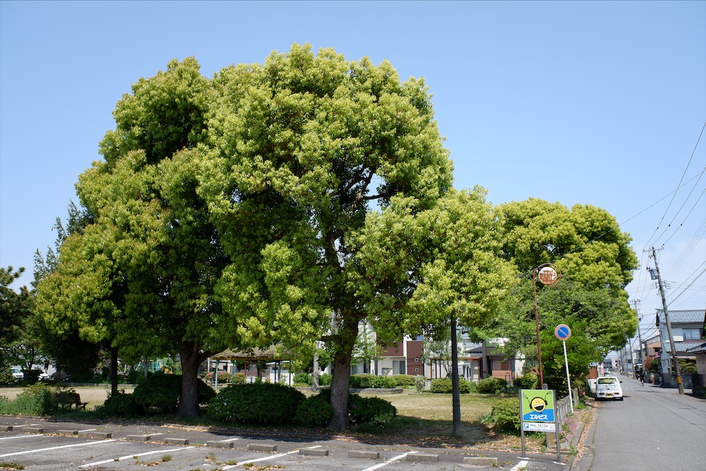f:id:edwalk:20200430171650j:image f:id:edwalk:20200430171650j:image