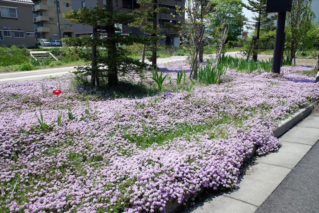 f:id:edwalk:20200430172005j:image f:id:edwalk:20200430172005j:image