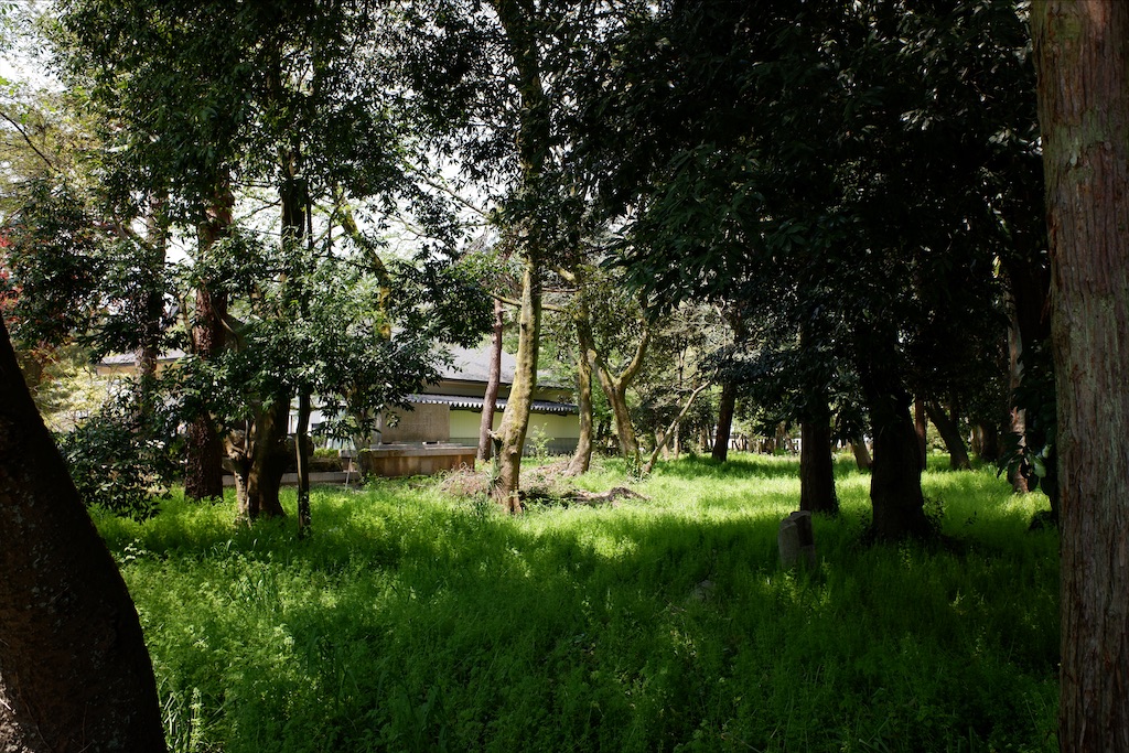 f:id:edwalk:20200430173257j:image f:id:edwalk:20200430173257j:image