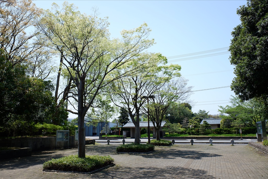 f:id:edwalk:20200430175425j:image f:id:edwalk:20200430175425j:image