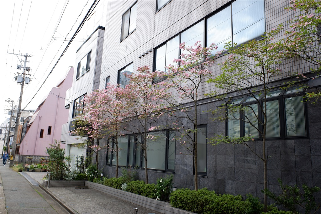f:id:edwalk:20200501163720j:image