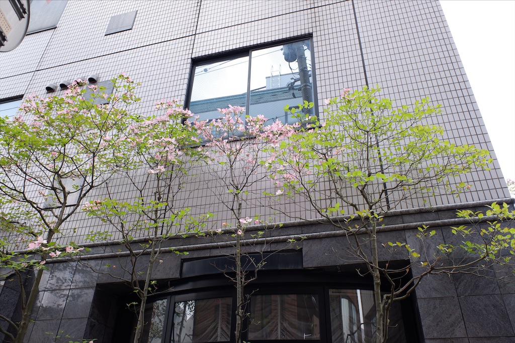 f:id:edwalk:20200501163729j:image