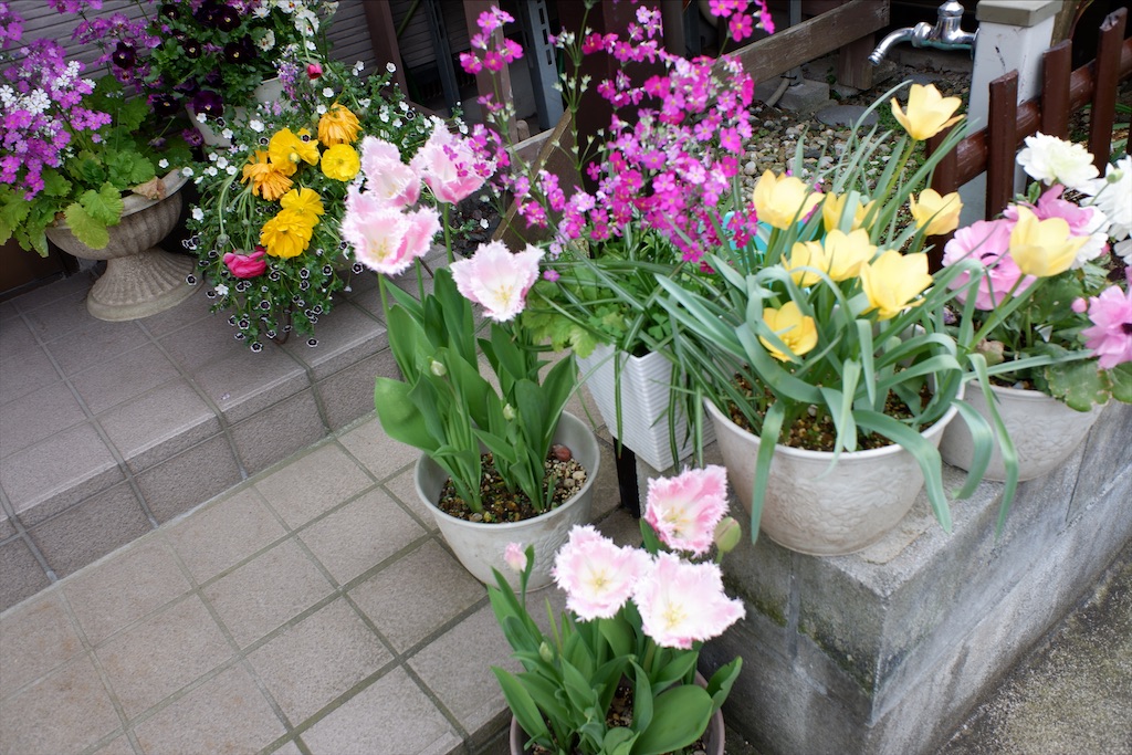 f:id:edwalk:20200501164708j:image