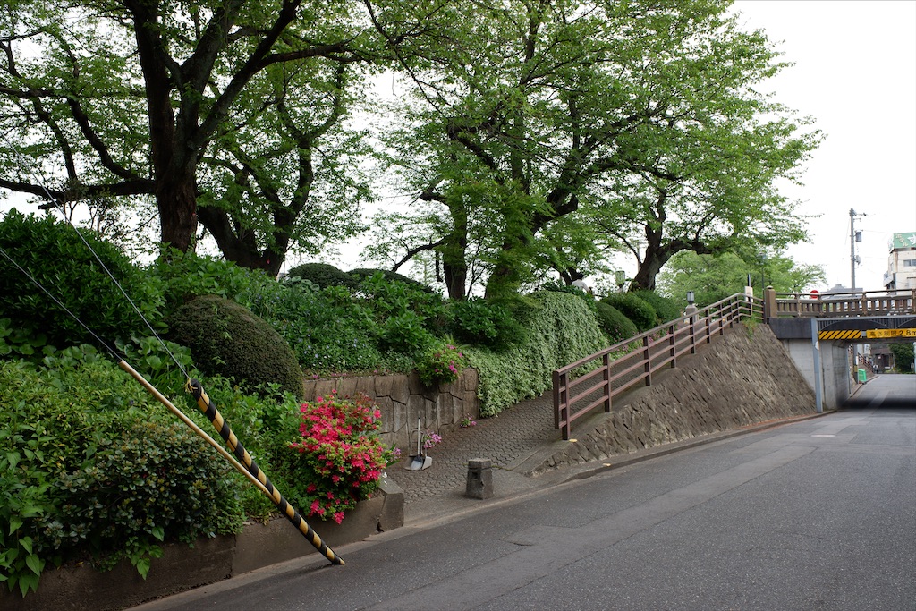 f:id:edwalk:20200501164844j:image