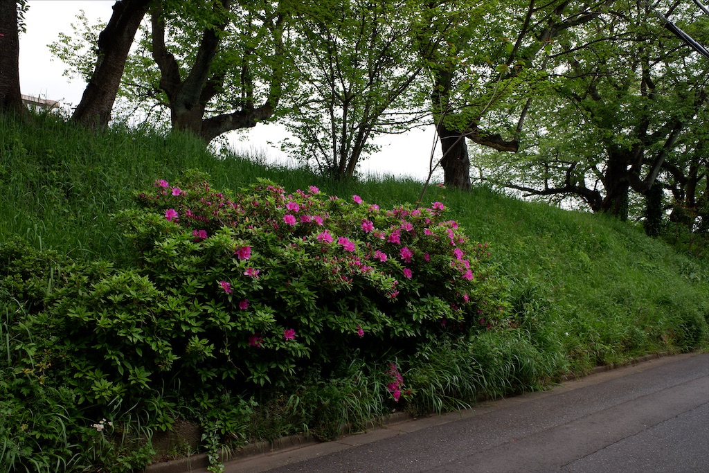 f:id:edwalk:20200501164848j:image