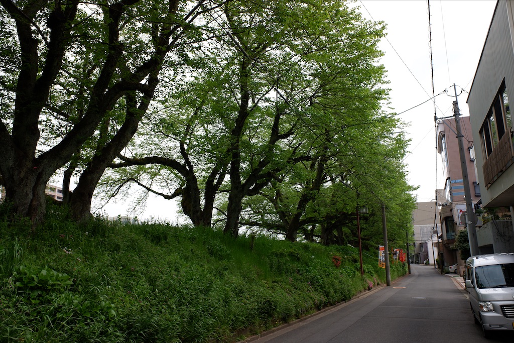 f:id:edwalk:20200501164857j:image