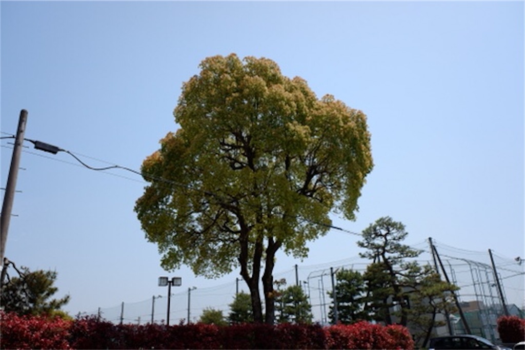 f:id:edwalk:20200502114725j:image f:id:edwalk:20200502114725j:image