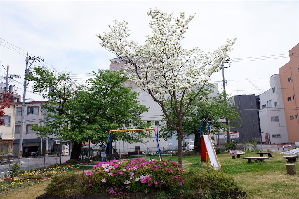 f:id:edwalk:20200503184152j:image f:id:edwalk:20200503184152j:image