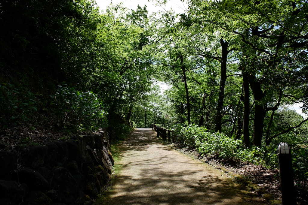 f:id:edwalk:20200504171651j:image