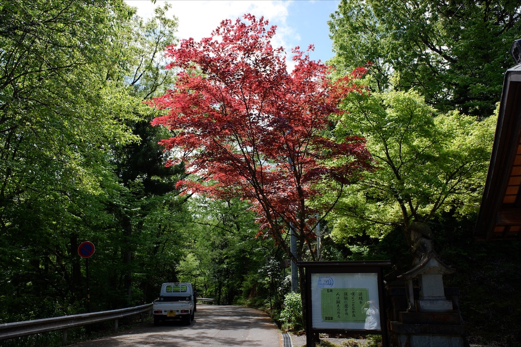 f:id:edwalk:20200504171655j:image