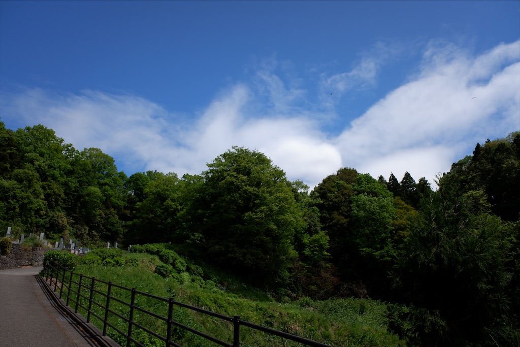 f:id:edwalk:20200504171724j:image