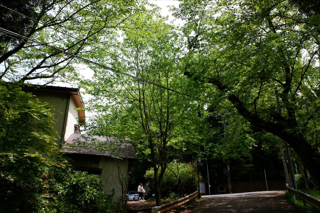 f:id:edwalk:20200505193048j:image
