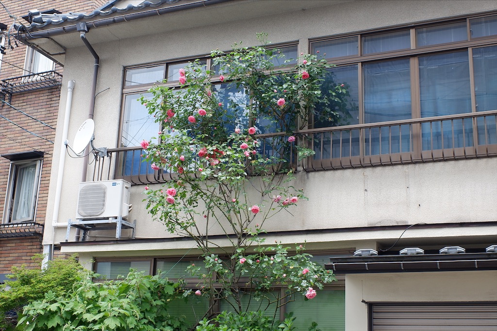 f:id:edwalk:20200512173240j:image