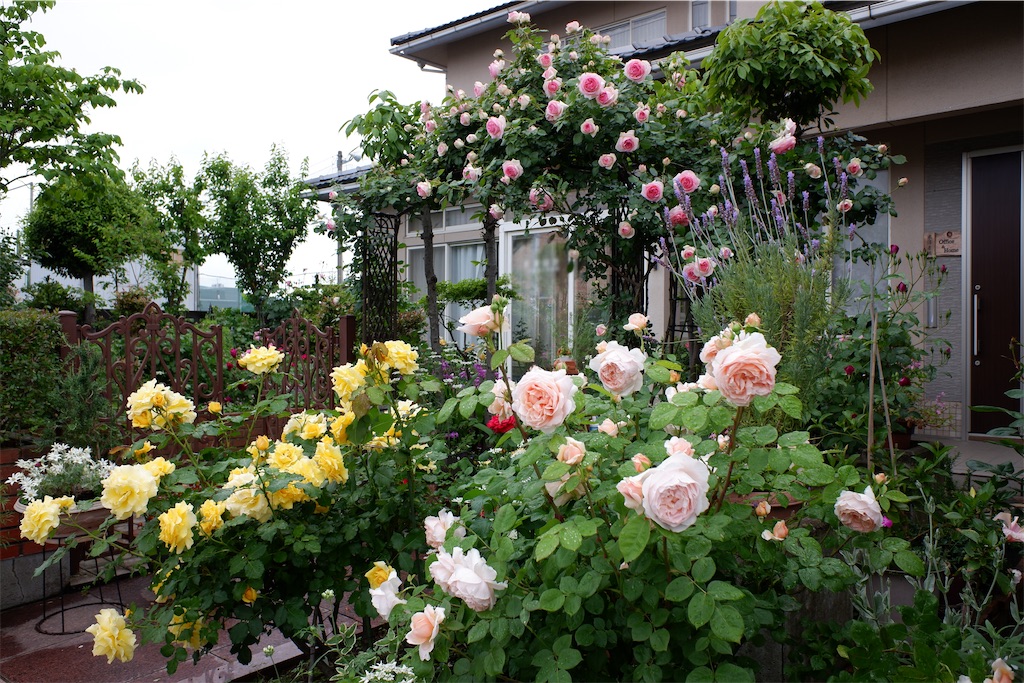 f:id:edwalk:20200517151811j:image