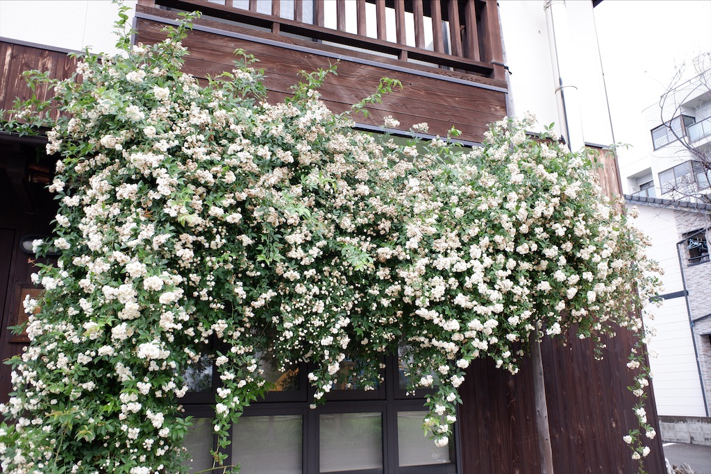 f:id:edwalk:20200517151823j:image