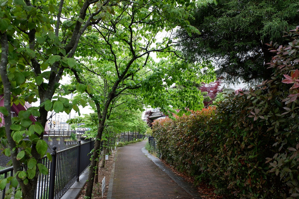 f:id:edwalk:20200517173323j:image