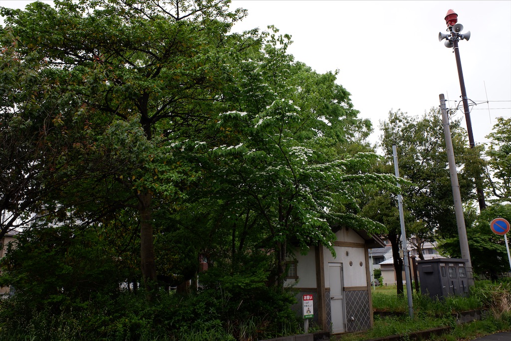 f:id:edwalk:20200517173446j:image