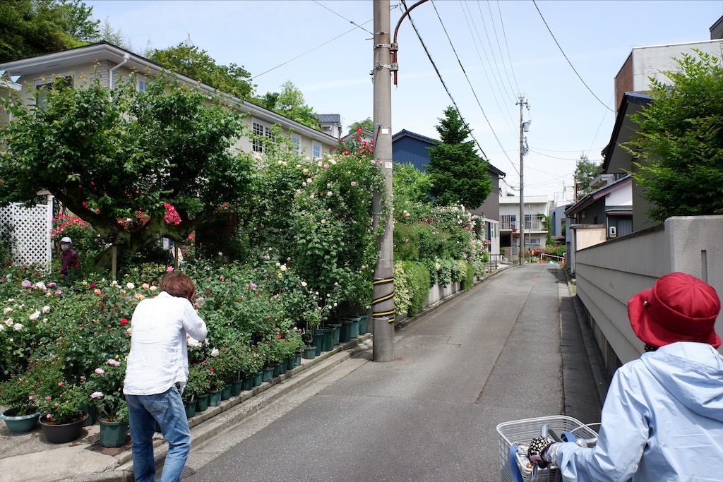 f:id:edwalk:20200521211827j:image