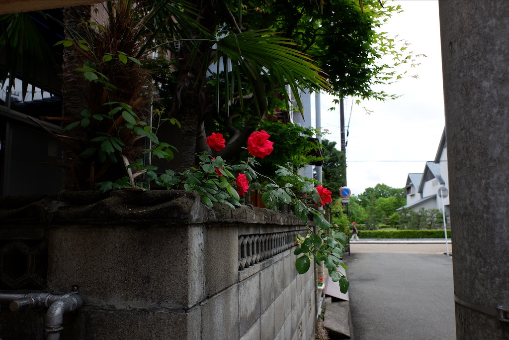 f:id:edwalk:20200521212310j:image