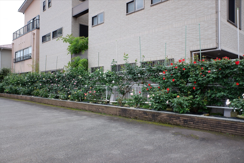 f:id:edwalk:20200521212323j:image