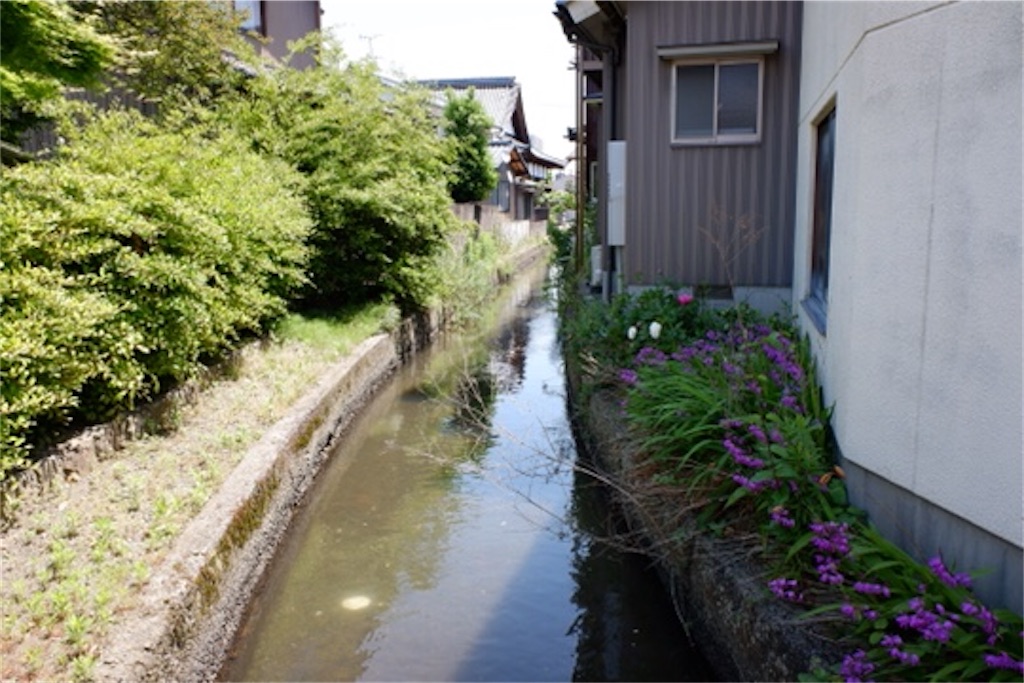 f:id:edwalk:20200523105844j:image