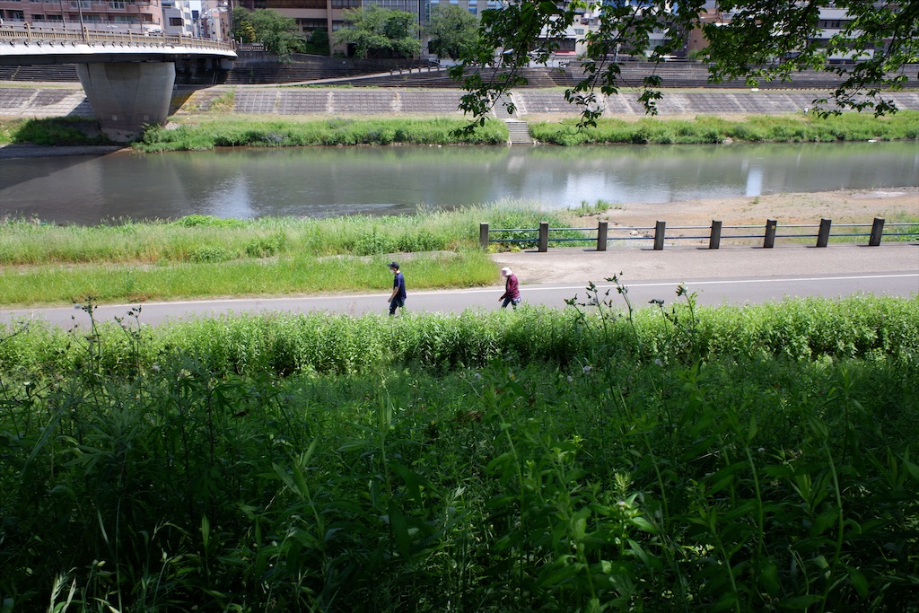 f:id:edwalk:20200524190437j:image