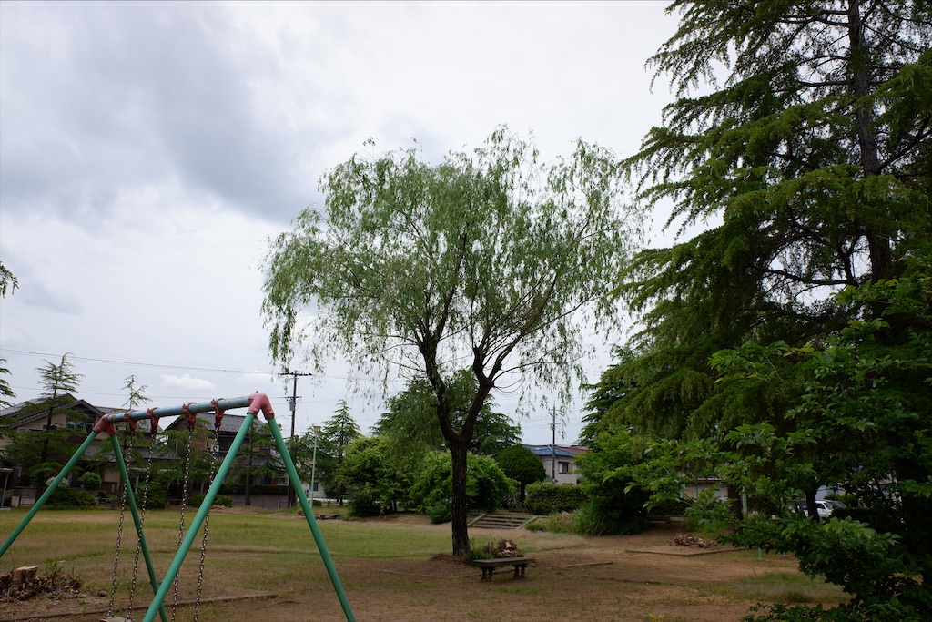 f:id:edwalk:20200525161955j:image f:id:edwalk:20200525161955j:image